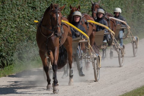 France, Région Basse Normandie, Manche, Haras de Bellevent, écurie Pierre Levesque, entraînement de