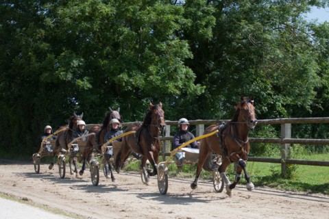 France, Région Basse Normandie, Manche, Haras de Bellevent, écurie Pierre Levesque, entraînement de