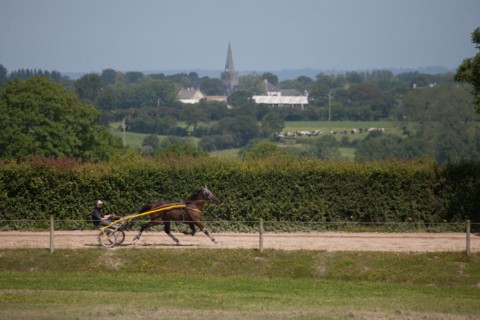 Manche,  Haras de Bellevent