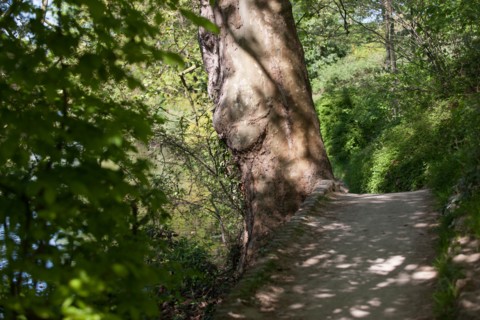 Paris 16e arrondissement,  Bois de Boulogne