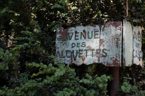 France, Région Ile de France, Paris 19e arrondissement, Parc des Buttes Chaumont, jardin, Ville de