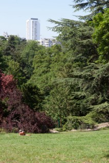 France, Région Ile de France, Paris 19e arrondissement, Parc des Buttes Chaumont, jardin, Ville de