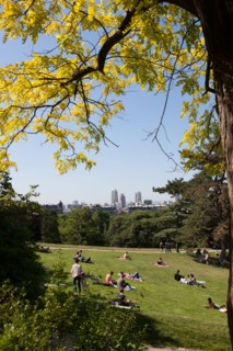 France, Région Ile de France, Paris 19e arrondissement, Parc des Buttes Chaumont, jardin, Ville de