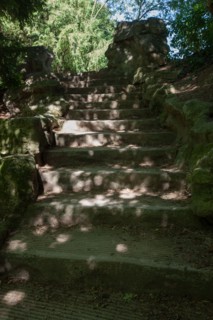 France, Région Ile de France, Paris 19e arrondissement, Parc des Buttes Chaumont, jardin, Ville de