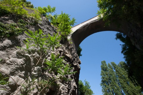 France, Région Ile de France, Paris 19e arrondissement, Parc des Buttes Chaumont, jardin, Ville de