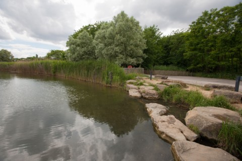 France, Région Ile de France, Seine Saint Denis, Bagnolet, Parc Départemental Jean Moulin, l'étang,