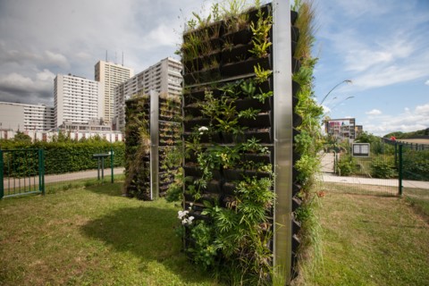 France, Région Ile de France, Seine Saint Denis, Bagnolet, Parc Départemental Jean Moulin, jardin
