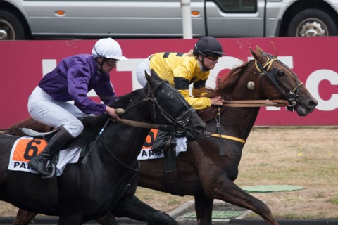 Val de Marne,  hippodrome de Vincennes