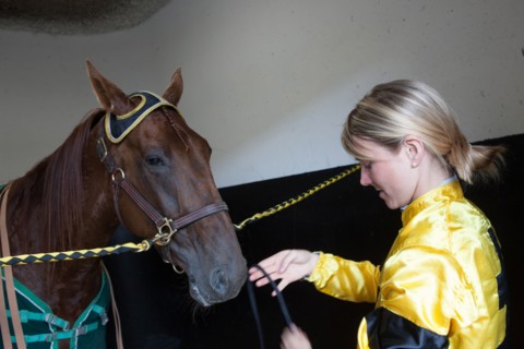 Val de Marne,  hippodrome de Vincennes