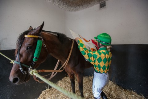 Val de Marne,  hippodrome de Vincennes