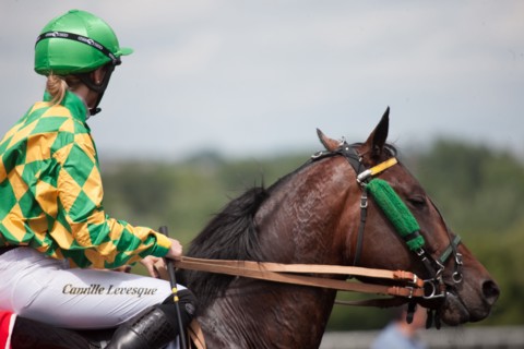 Val de Marne,  hippodrome de Vincennes