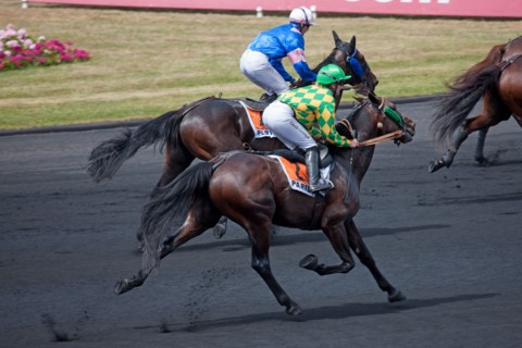 Val de Marne,  hippodrome de Vincennes