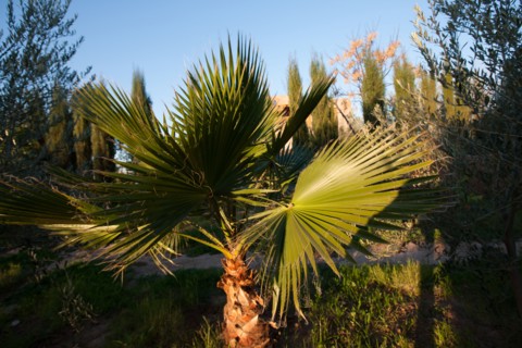 Marrakech,  Zaraba