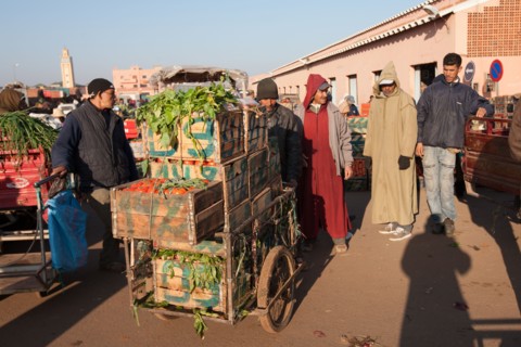 Afrique du nord, Maroc, Marrakech, souk, marché de gros, alimentaire,