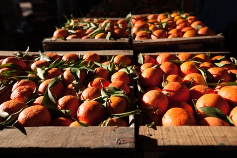 Marrakech,  souk