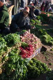 Afrique du nord, Maroc, Marrakech, souk, marché de gros, alimentaire,