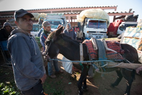 Marrakech,  souk