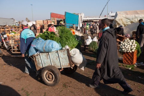Afrique du nord, Maroc, Marrakech, souk, marché de gros, alimentaire,