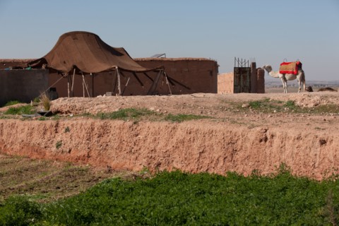 Marrakech,  pied du Haut Atlas