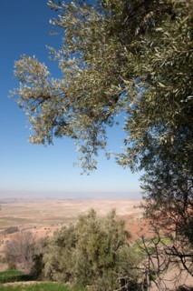 Marrakech,  pied du Haut Atlas