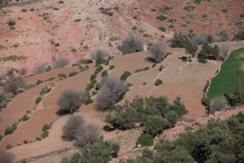 Marrakech,  pied du Haut Atlas