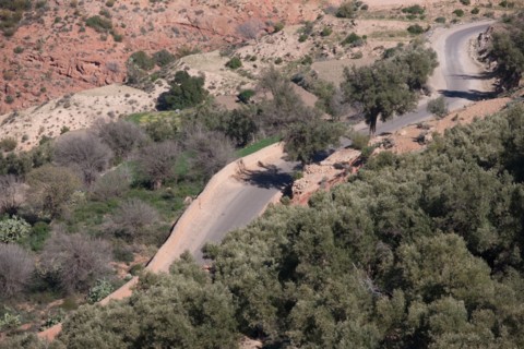 Marrakech,  pied du Haut Atlas