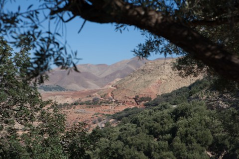 Marrakech,  pied du Haut Atlas