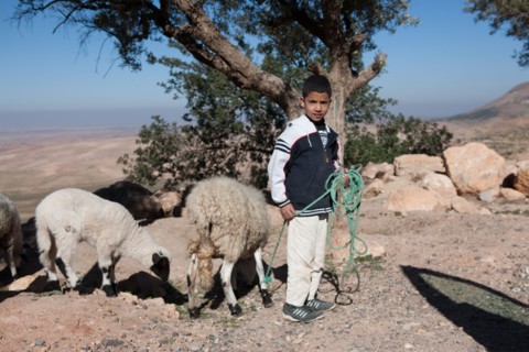 Marrakech,  pied du Haut Atlas
