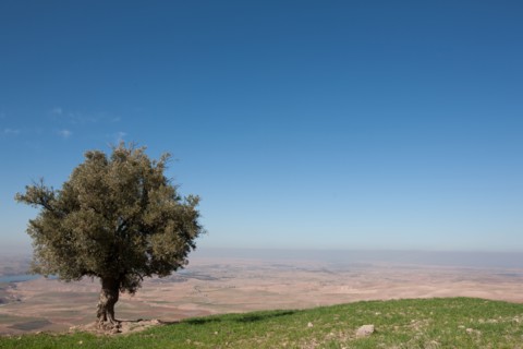 Marrakech,  pied du Haut Atlas