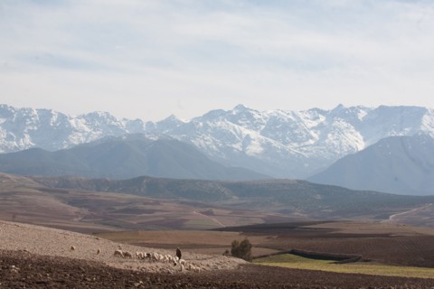 Marrakech,  pied du Haut Atlas