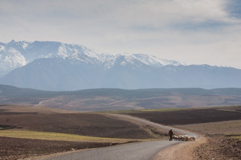 Marrakech,  pied du Haut Atlas