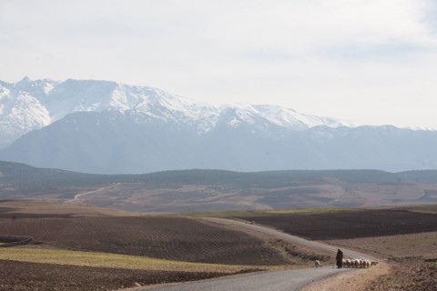 Marrakech,  pied du Haut Atlas