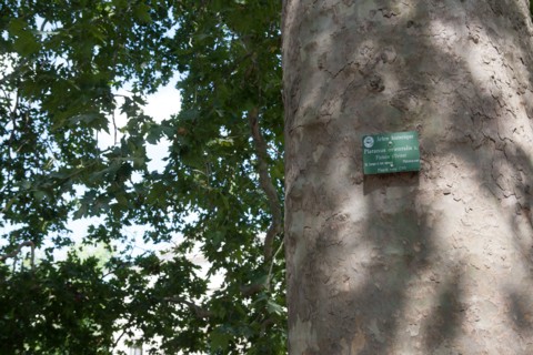 Jardin Des Plantes, Paris