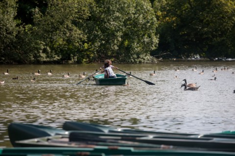 Bois De Vincennes, Lac Des Minimes