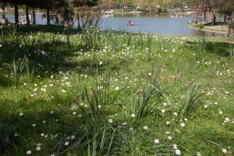Bois De Vincennes, Lac Daumesnil