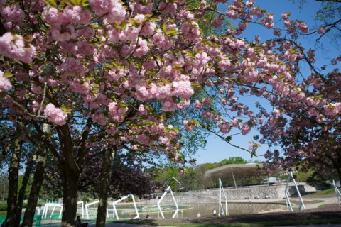 Bois De Vincennes, Parc Floral De Paris
