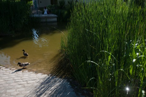 Parc De Bercy, Etang