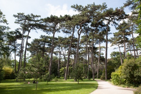 Bois De Vincennes, Parc Floral De Paris