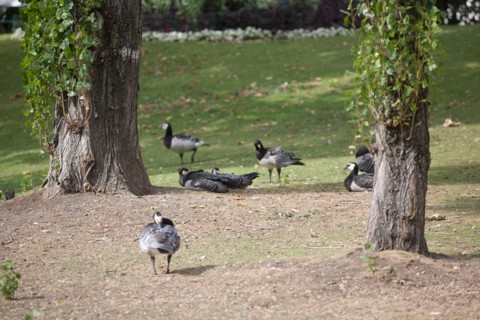 Square Des Batignolles