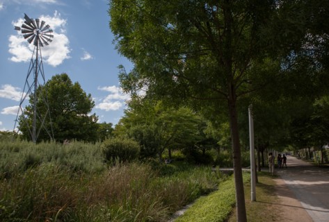 Parc Martin Luther King, Projet Clichy Batignolles
