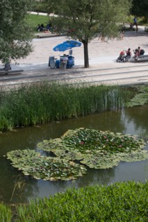 Parc Martin Luther King, Projet Clichy Batignolles