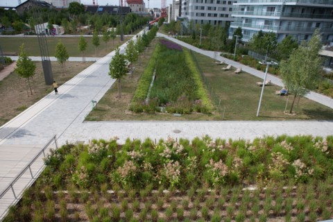 Parc Martin Luther King, Projet Clichy Batignolles