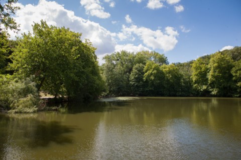Forêt De Meudon, bois et nature autour de L'étang de Trivaux