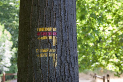 Forêt De Meudon, bois et nature autour de L'étang de Trivaux