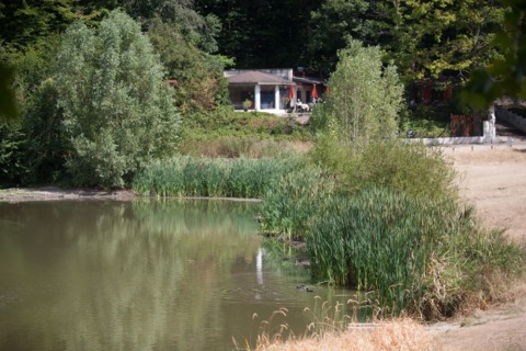 Forêt De Meudon, Bois Et Nature Autour De L'Etang De Meudon