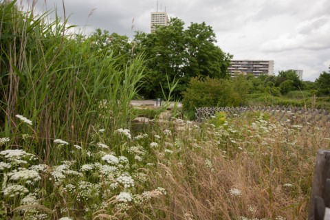 Seine Saint Denis, Bagnolet