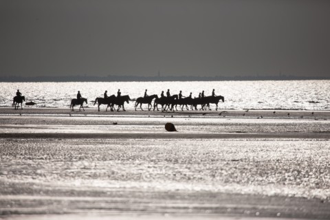 Cabourg, Plage