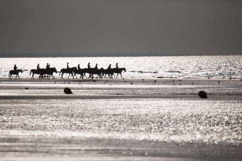 Cabourg, Plage