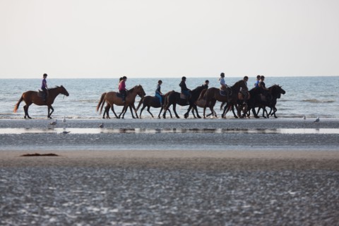 Cabourg, Plage