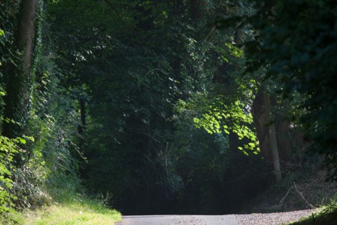 Touques, Chemin